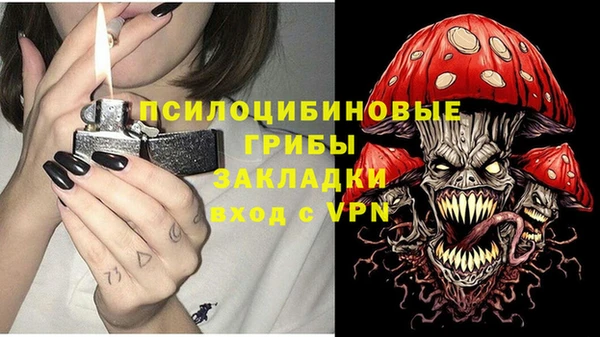 прущая мука Алексин