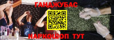 шишки Шелехов