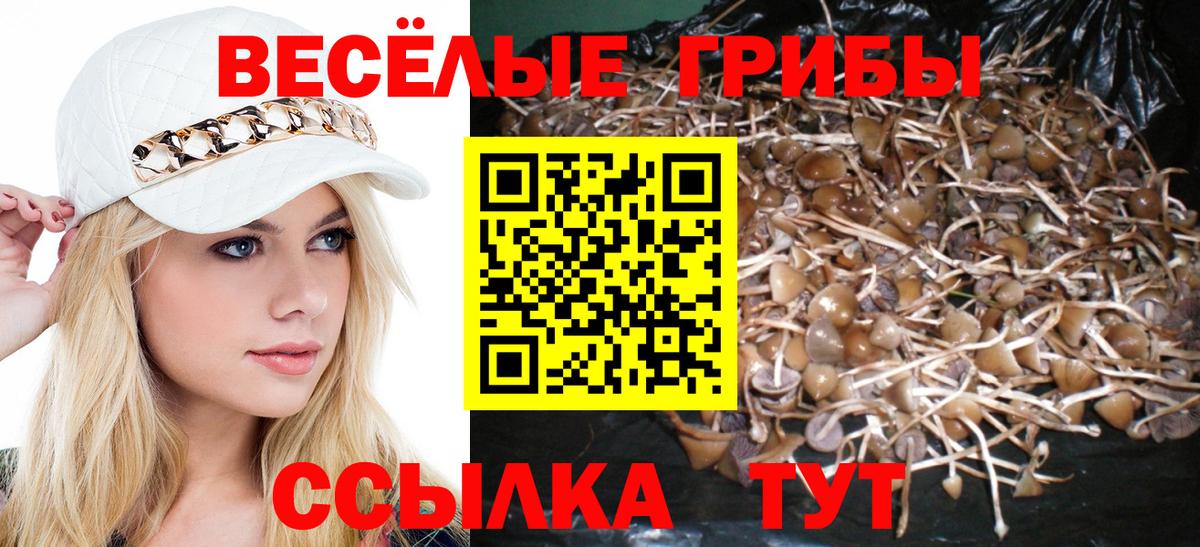 Архангельск  Галлюциногенные грибы ЛСД  Вход с VPN 