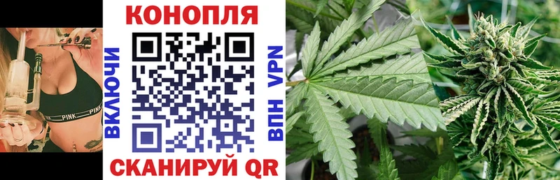 Конопля сатива Архангельск